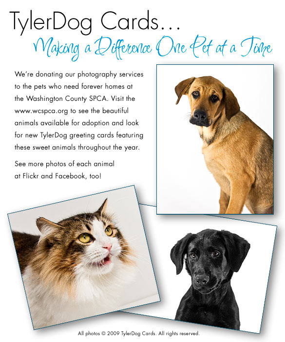 Valentine's Cards from TylerDog Cards