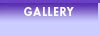Photo and Video Gallery