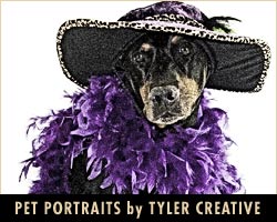 Pet Portraits by Sherry Stinson